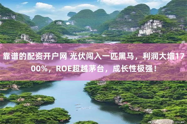 靠谱的配资开户网 光伏闯入一匹黑马,利润大增1700%,ROE超越茅台,成长性极强!