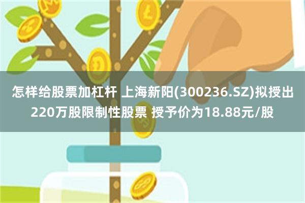 怎样给股票加杠杆 上海新阳(300236.SZ)拟授出220万股限制性股票 授予价为18.88元/股