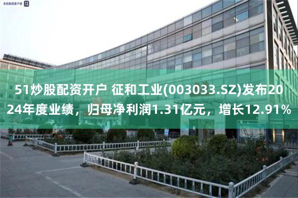 51炒股配资开户 征和工业(003033.SZ)发布2024年度业绩,归母净利润1.31亿元,增长12.91%