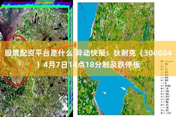 股票配资平台是什么 异动快报：狄耐克（300884）4月7日14点18分触及跌停板