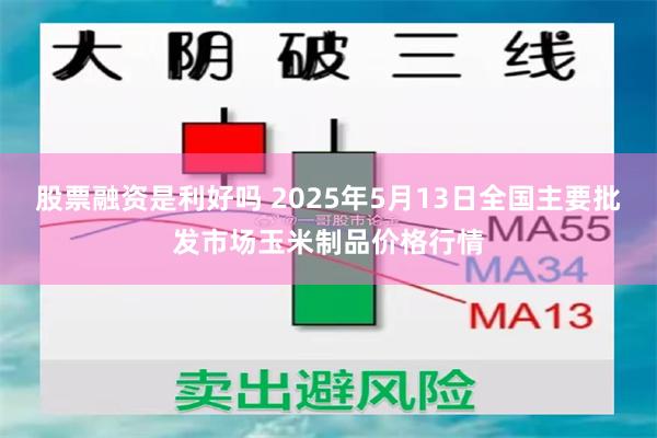 股票融资是利好吗 2025年5月13日全国主要批发市场玉米制品价格行情
