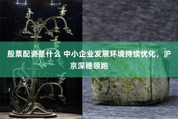 股票配资是什么 中小企业发展环境持续优化,沪京深穗领跑