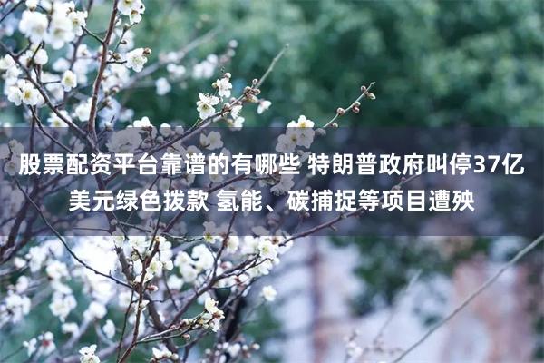 股票配资平台靠谱的有哪些 特朗普政府叫停37亿美元绿色拨款 氢能、碳捕捉等项目遭殃