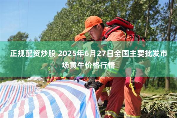 正规配资炒股 2025年6月27日全国主要批发市场黄牛价格行情